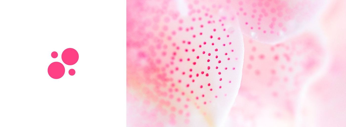 The Digitalis mark beside the dotted orchid petal it is drawn from
