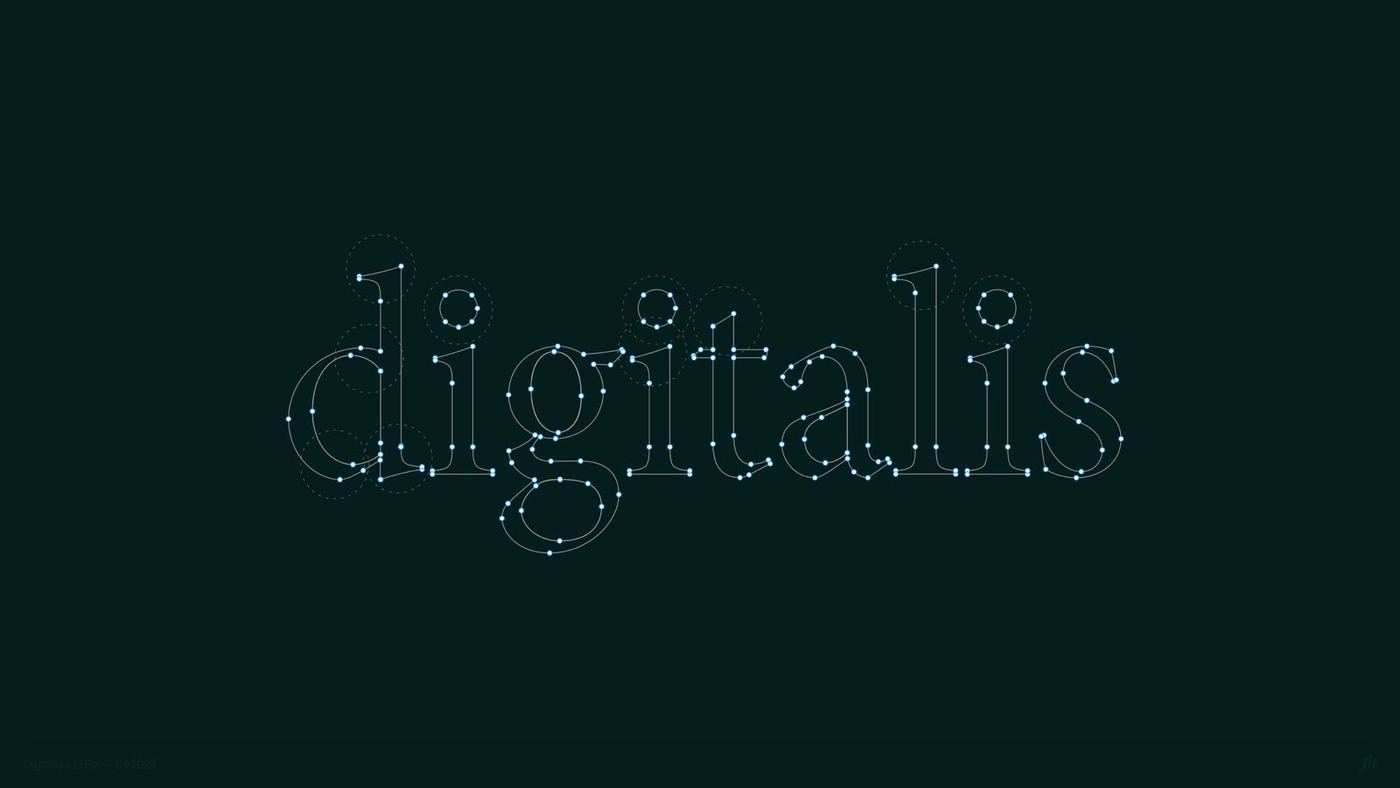 The digitalis wordmark drawn as a constellation on Night Sky