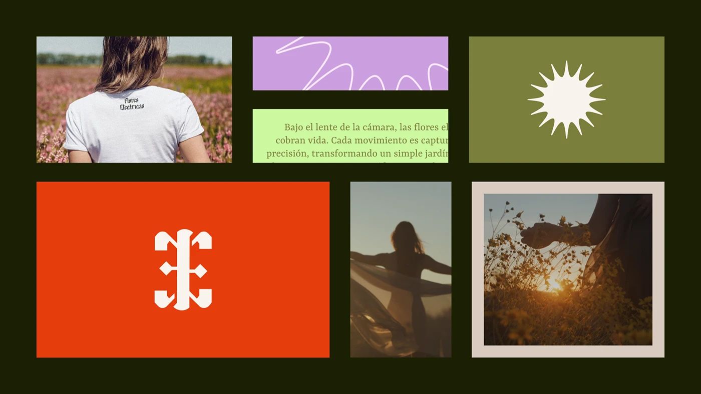 Brand collage — tee, symbol, monogram and film stills on Verde Noche