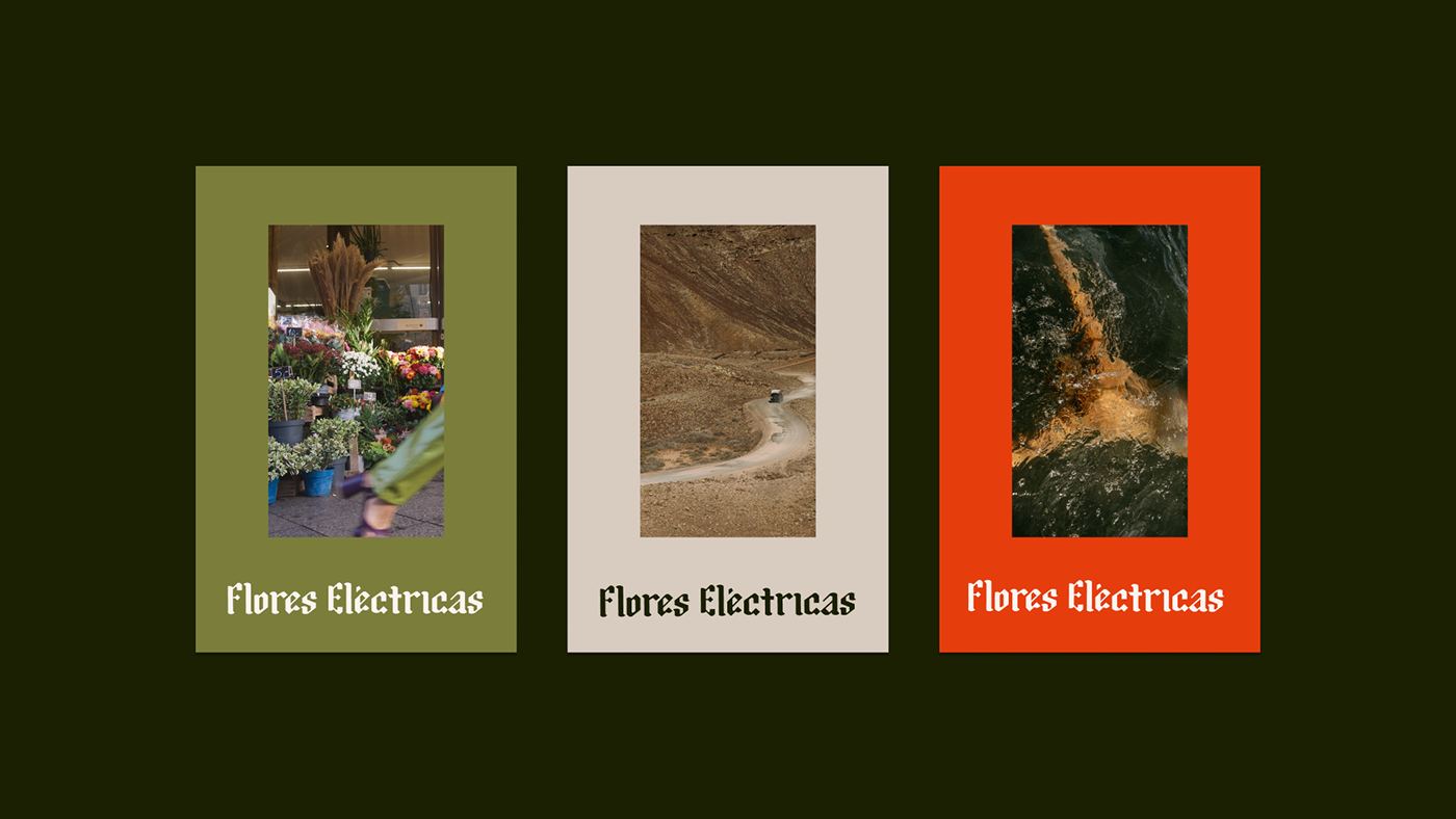 Three framed film-still prints in olive, sand and orange on Verde Noche