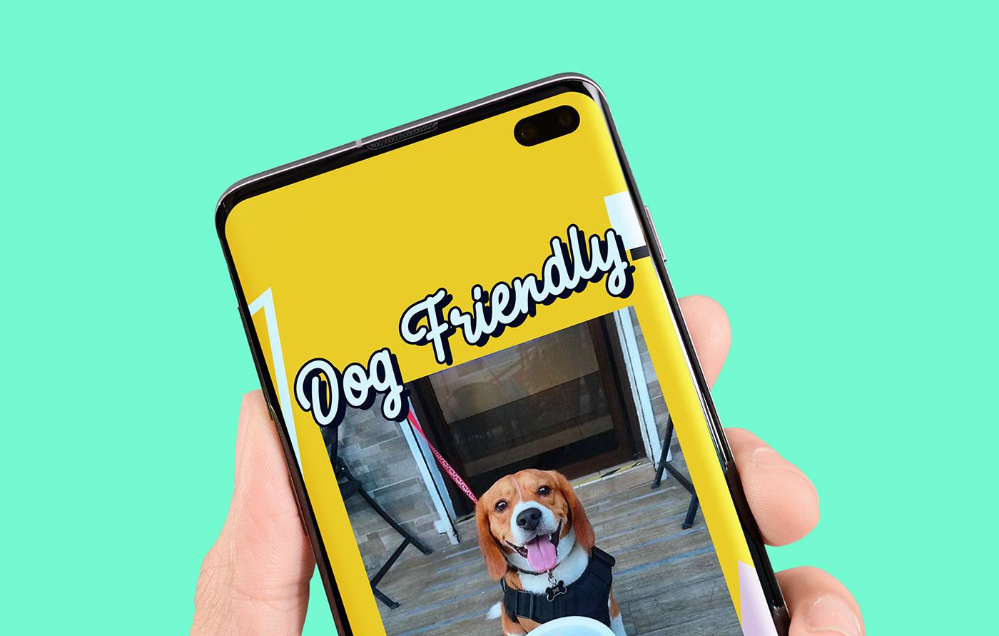 A phone showing a "Dog Friendly" Hel'arte post with a beagle, on mint