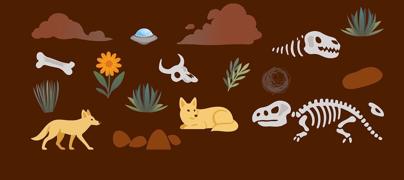 Custom illustration and UI asset library